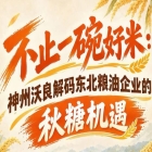 不止一碗匠心好米 神州沃良解锁东北粮油秋糖创新发展机遇