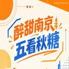南京秋糖，五看醉甜，聚焦金陵